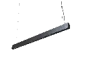 PROR1003_1.webp