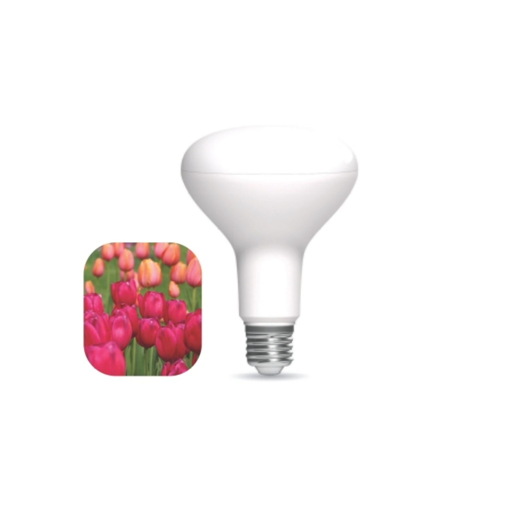 DAYLIGHT 700195.00A | LED PLANT FLOWER BR30 100/240V 12W FR/WW 25UMOL/S IP44