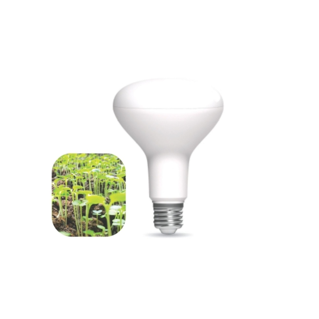 DAYLIGHT 700194.00A | LED PLANT GREEN BR30 100/240V 12W DR/W/MB 25UMOL/S IP44