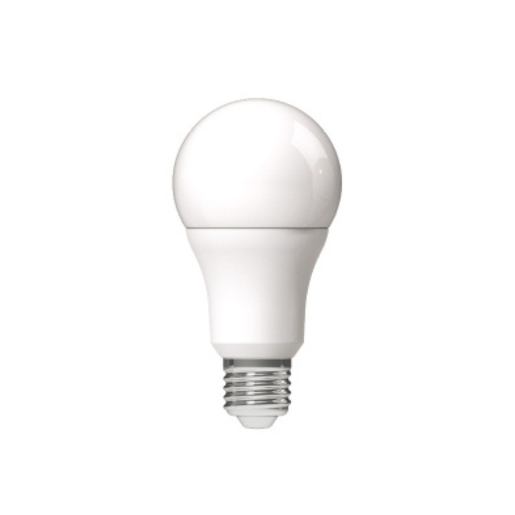 DAYLIGHT 700703.00A | LED A60 BT 12-24V 4,5W E27 3000K