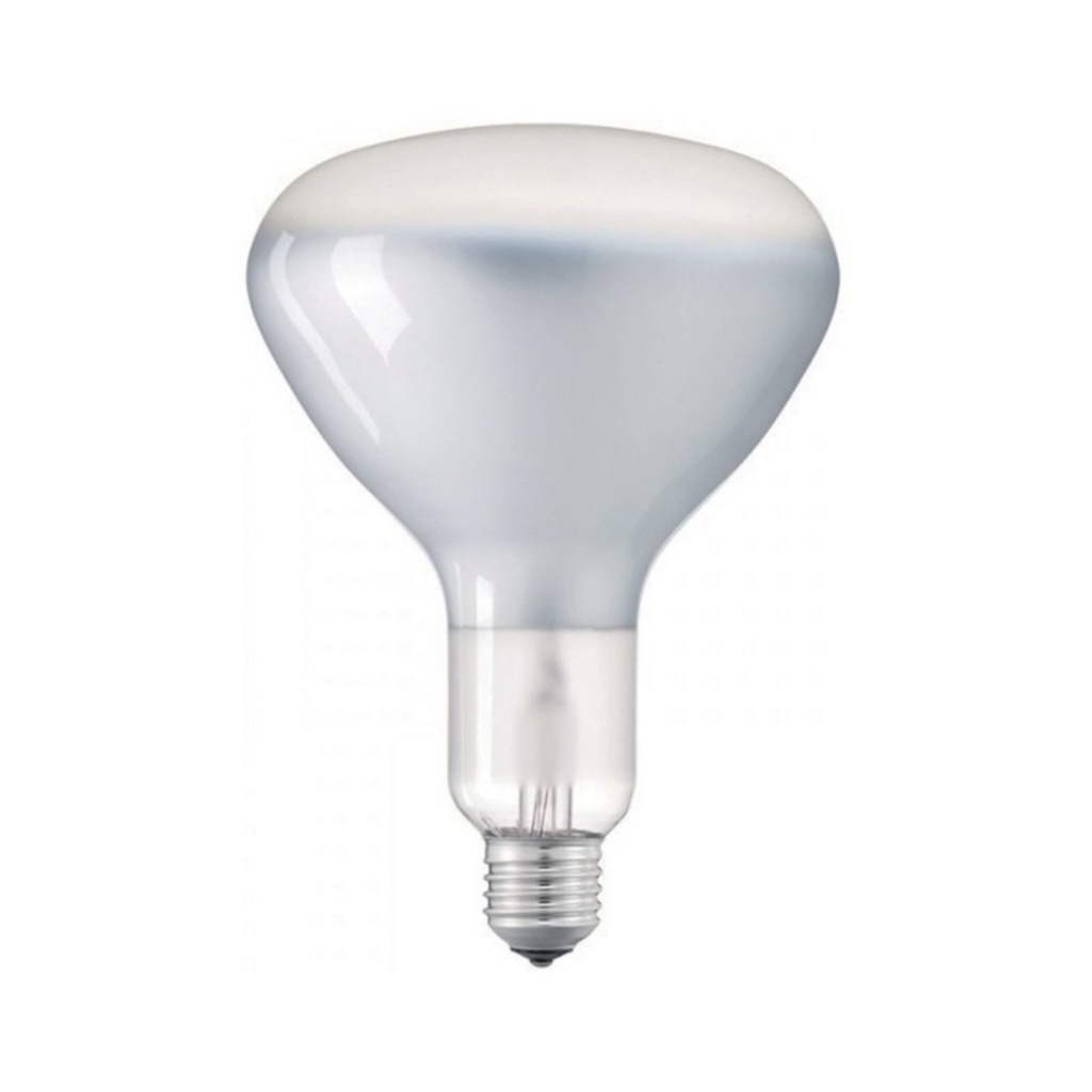 DAYLIGHT 700230.00A | LED FIL R125 220/240V 10W E27 2700K FROSTED DIM