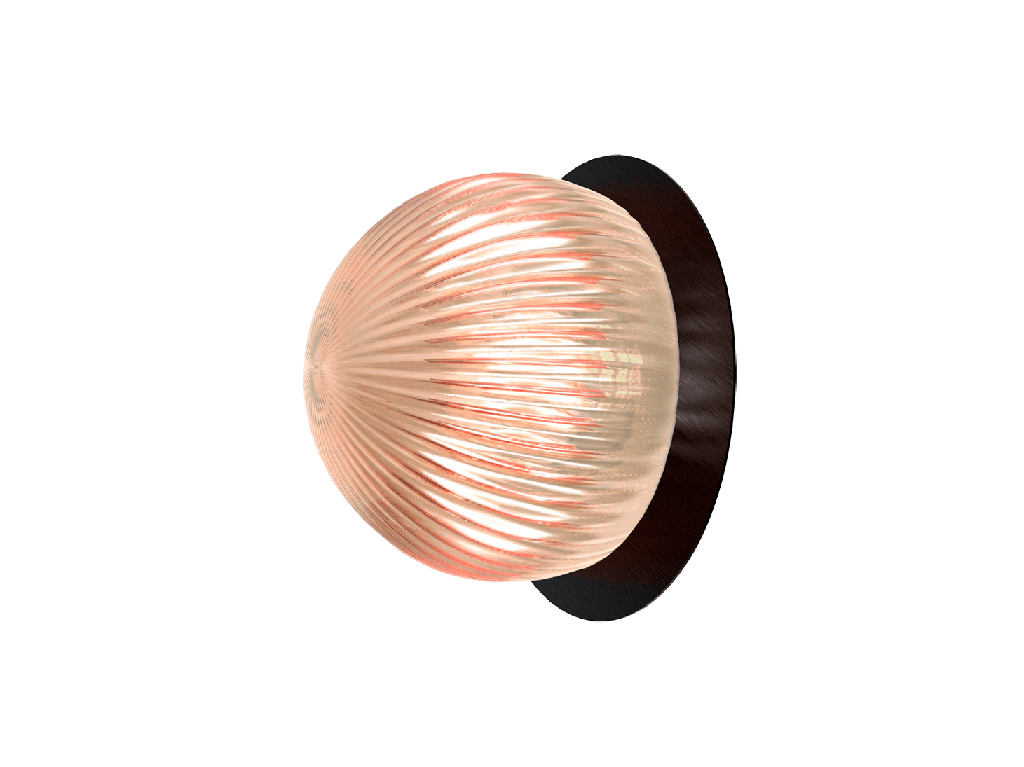 ROBIN LAMPS 02725 | ROI WALL CEILING DISC - BLACK BASE AND TRANSPARENT FUMME GLASS