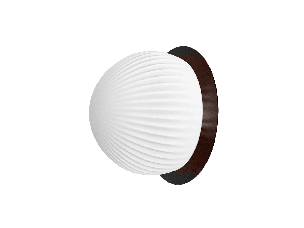 ROBIN LAMPS 02732 | ROI WALL CEILING DISC - BLACK BASE AND OPAL WHITE GLASS