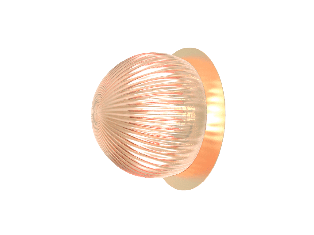 ROBIN 02749 | ROI WALL CEILING DISC - MATTE POLISHED BRASS BASE AND TRANSPARENT FUMME GLASS