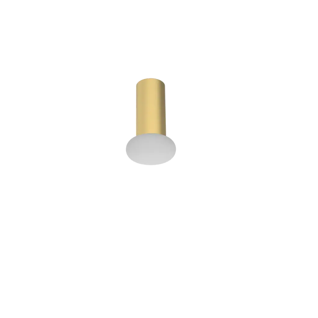 ROBIN 04507 | RINA WALL CEILING - MATT POLISHED BRASS