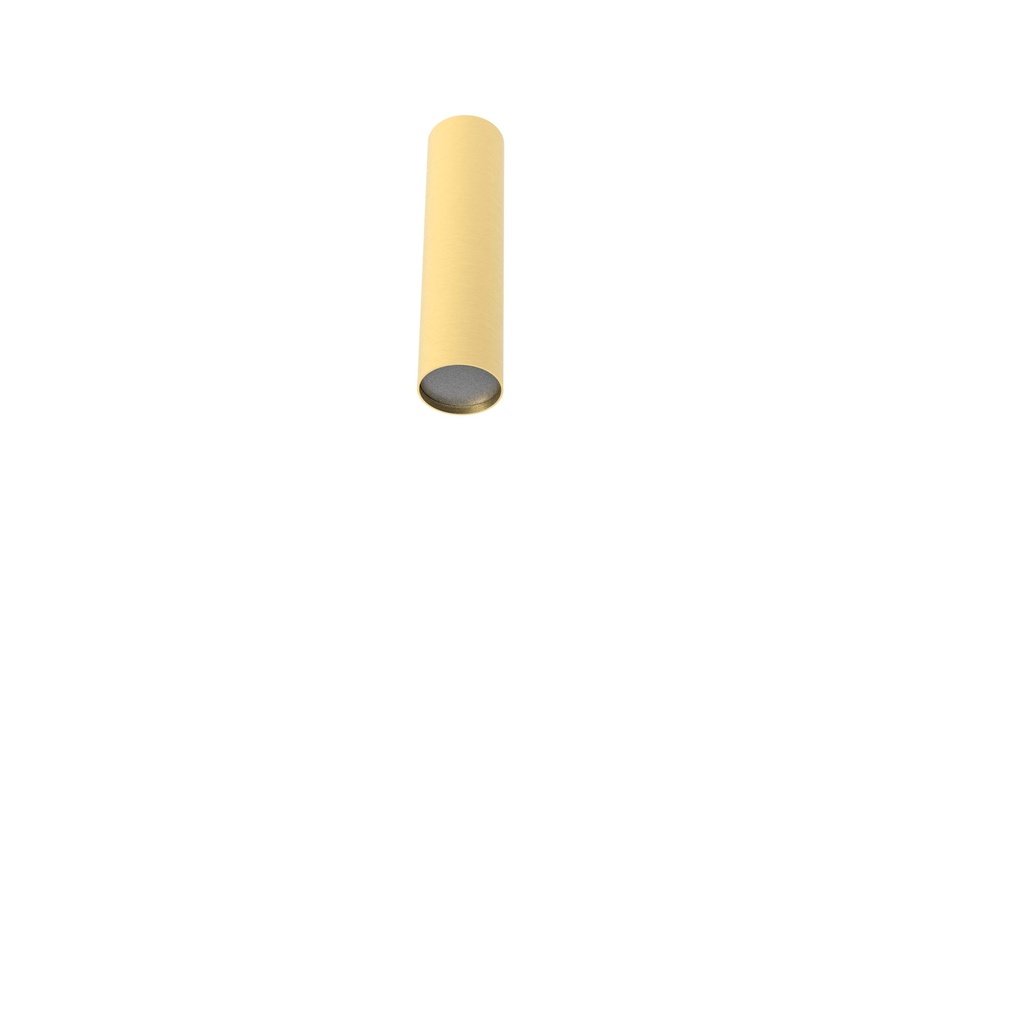 ROBIN 03210 | ROSE CEILING 16 - MATTE POLISHED BRASS