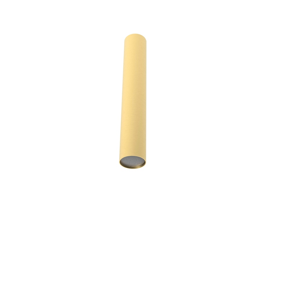 ROBIN 03241 | ROSE CEILING 25 - MATTE POLISHED BRASS