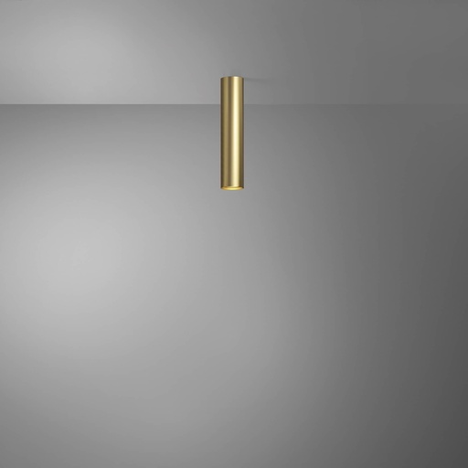 [DAY-590070.00A] DAYLIGHT 590070.00A | TUBOSA PLAFONE H300/55 GU10 ORO