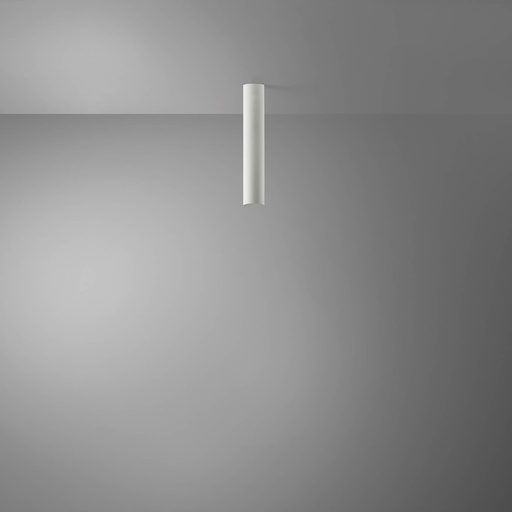 [DAY-590063.00A] DAYLIGHT 590063.00A | TUBOSA PLAFONE H300/45 E27 WHITE OPACO RAL 9003