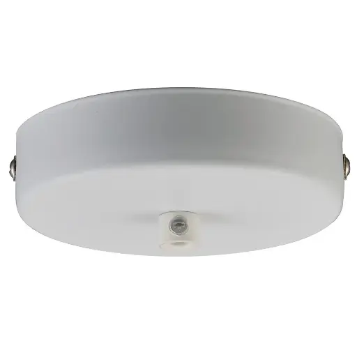 [HALO-717484] HALO DESIGN 717484 | CANOPY Ø10 1L WHITE IP20