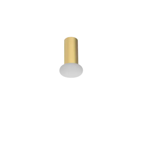 [ROB-04507] ROBIN 04507 | RINA WALL CEILING - MATT POLISHED BRASS